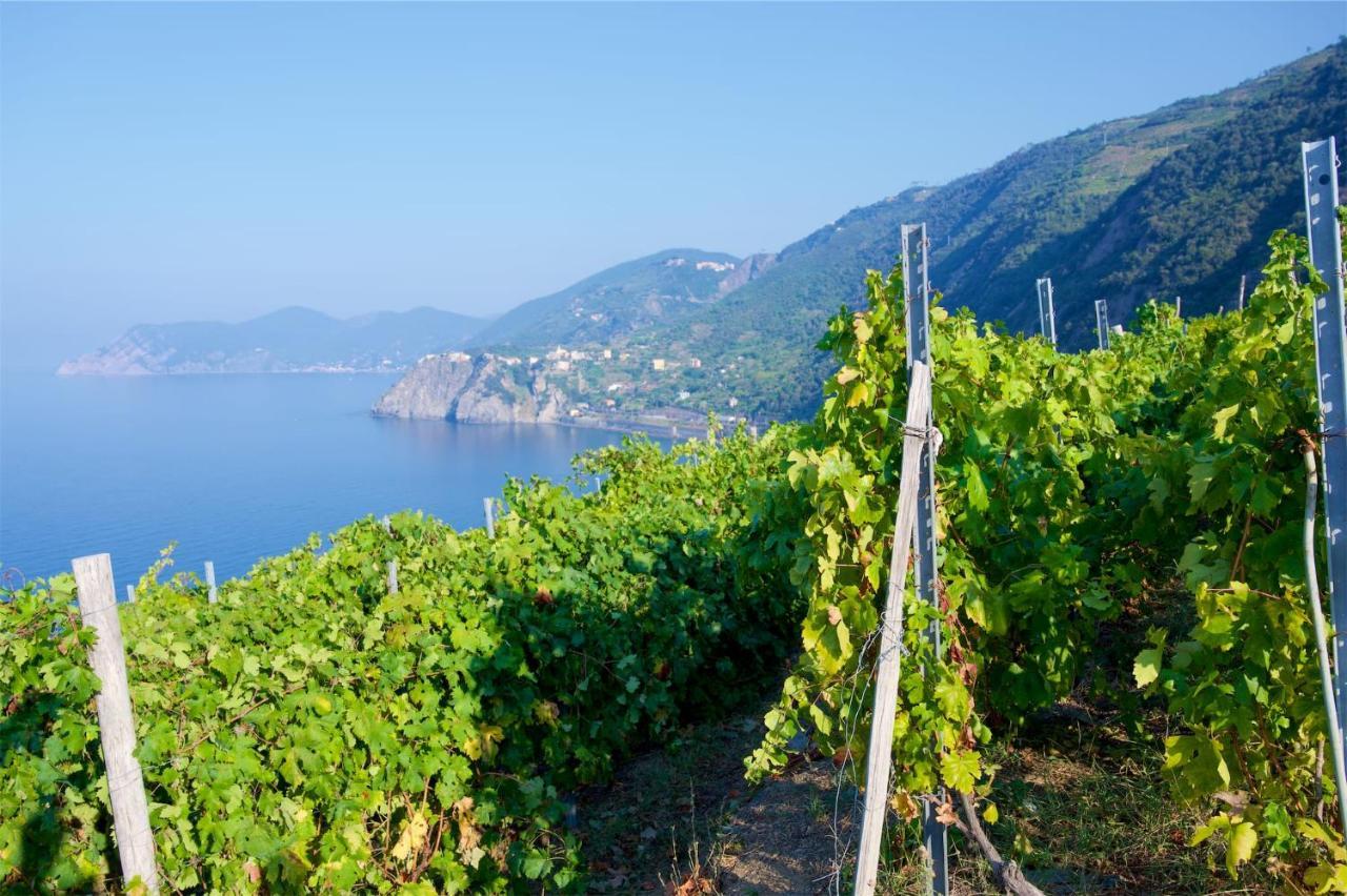 Willa La Tua Casa Vicino A Portovenere Le Grazie  Zewnętrze zdjęcie